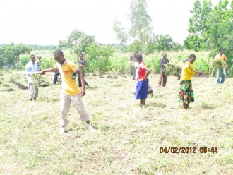 communityfarm1