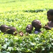 Children in Malawi