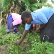 Children in Malawi